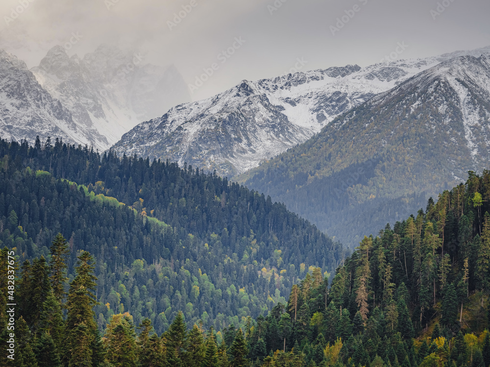 Fototapeta premium Amazing highlands autumn day. trees on edge of hill in fall colors. Travel to the North Caucasus, Arkhyz, Russia, road to Dukkinsky lakes.