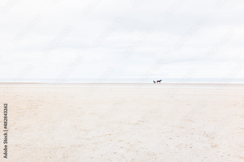 Trotting horse, jockey and sulky, sandy beach, seascape. Vauville, Manche, France.