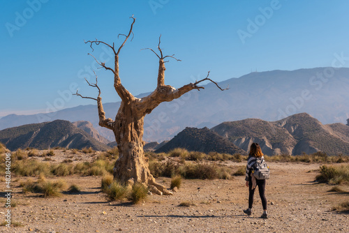 A young hiker girl visiting the tree of misfortune near the desert canyon of Tabernas, Almería province, Andalusia. On a trek in the Rambla del Infierno photo