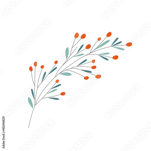 sea buckthorn clip-art. Isolated branch of a plant on a white background. Stylized fruits. For design postcard, business card, invitation, tag, price tag, advertising. Vector illustration, hand draw
