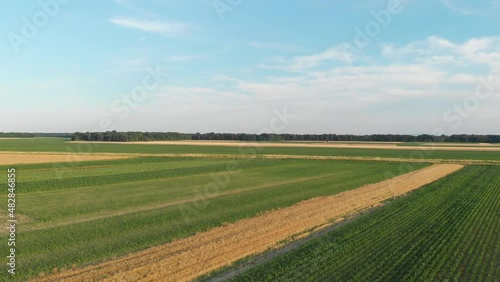 Wallpaper Mural aerial footage of Prekmurje lowland fields in Slovenia on sunny summer day Torontodigital.ca