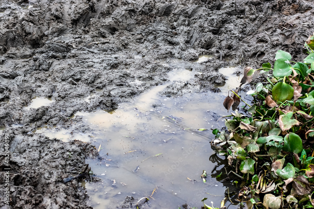 Obraz premium Wet muddy land with dirty water close up shot