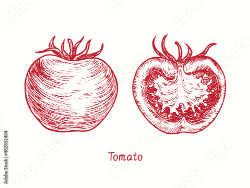 Tomato whole and cut half. Ink black and white doodle drawing in woodcut style