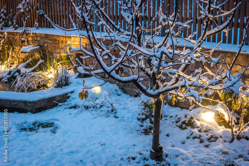 Evening lighted garden covered with snow