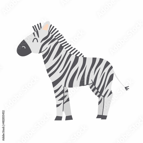 Cute zebra on white background. Vector childish illustration