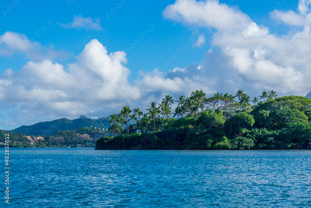 Naklejka premium hawaii sandbar palm trees