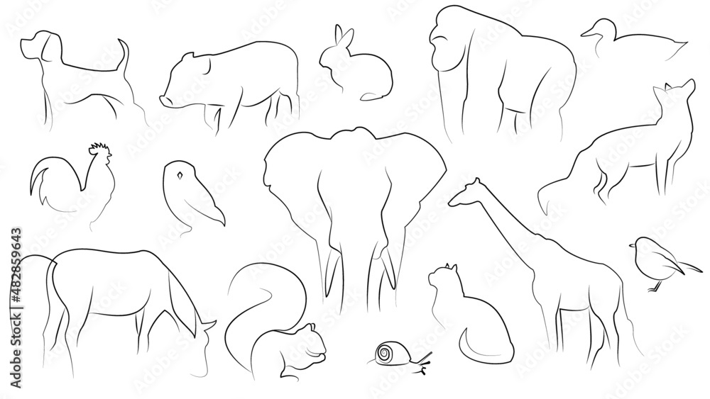 Contorno nero e non chiuso di quindici animali: cane, maiale, coniglio, gorilla, anatra, gallo, civetta, elefante, volpe, cavallo, scoiattolo, lumaca, gatto, giraffa e pettirosso. Contorno nero e non chiuso di quindici animali: cane, maiale, coniglio, gorilla, anatra, gallo, civetta, elefante, volpe, cavallo, scoiattolo, lumaca, gatto, giraffa e pettirosso.