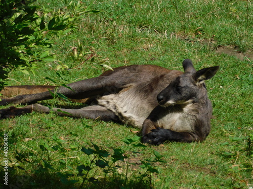 Fototapeta Naklejka Na Ścianę i Meble -  Odpoczynek