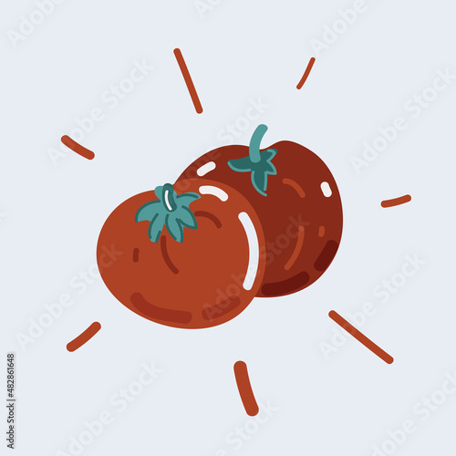 Vector illustration of Red tomato Cut tomatos