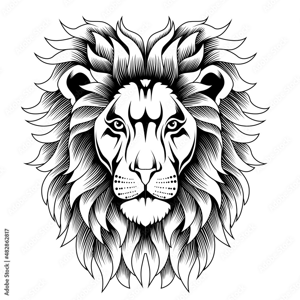 Lion head illustration in black and white Lion head illustration in black and white