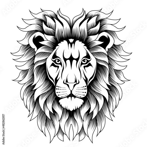 Lion head illustration in black and white