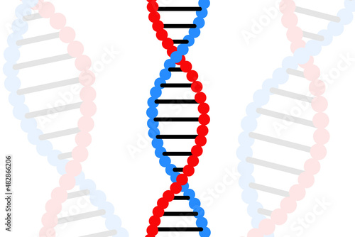 DNA structure isolated. Biology or biotechnology science abstract illustration background. Human cell anatomy cross section
