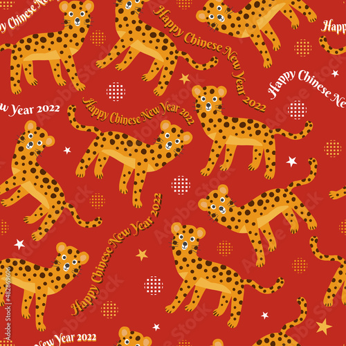 seamless Chinese new year pattern on red  background with doodle hand draw tiger and words   new year card