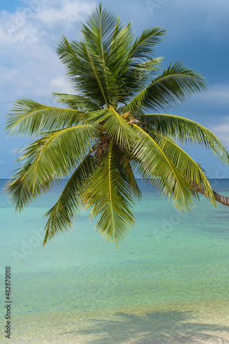 Fototapeta Naklejka Na Ścianę i Meble -  Beautiful tropical beach with coconut palm tree on white sand with ocean view , Thailand
