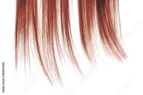 Mahogany color hair isolated in white
