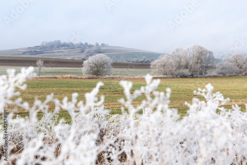 Winter landscape in Czech countryside. photo