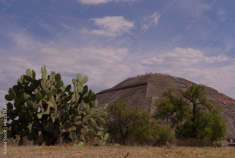Pyramid of the Sun, Teotihuacán and cactus Pyramid of the Sun, Teotihuacán and cactus