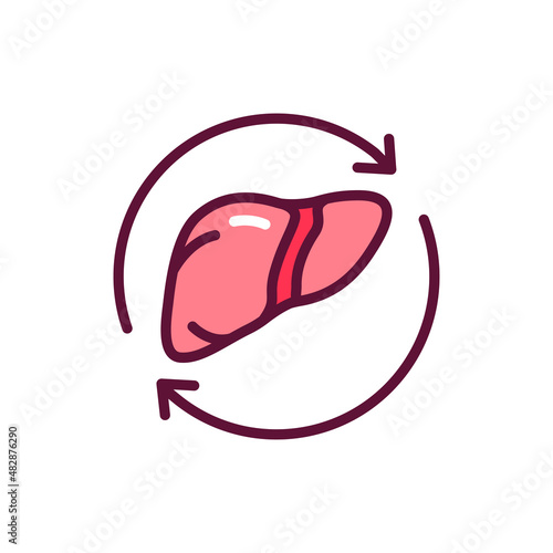 Liver transplant line icon. Isolated vector element.