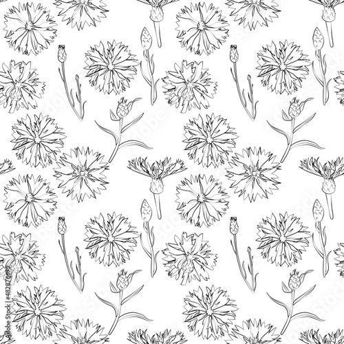 A set of seamless patterns with cornflowers 1000x1000, vector graphics.