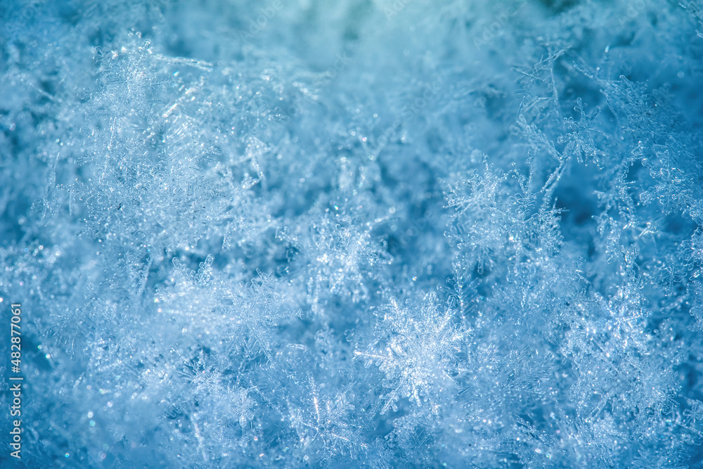 Macro background of fresh snowflake texture