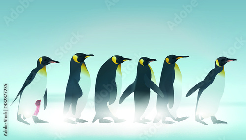Six penguins in snow. 6 Emperor Penguins on ice in snow storm. Penguins On Snow Covered Land. one injured penguin 