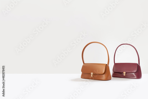 Beautiful brown leather female fashion bags isolated on white background