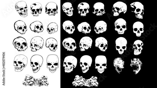 set teschi horror realistici grafici crani anatomia