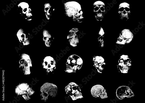 Set teschi realistici cranio halloween horror