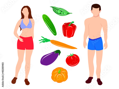 Healthy lifestyle food eating concept vector illustration isolated slim figure woman and man cartoon flat character body person dieting burger fresh organic farm vegetable carrot tomato colorful set