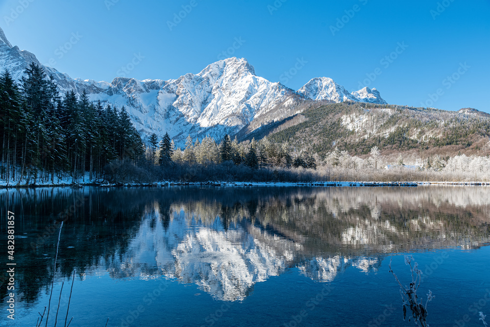 Dreamlike Winter wonderland in Almtal, Salzkammergut. Frozen Trees, snowcaped mountains, crystal clear Almsee, Totes Gebirge, Upper Austria