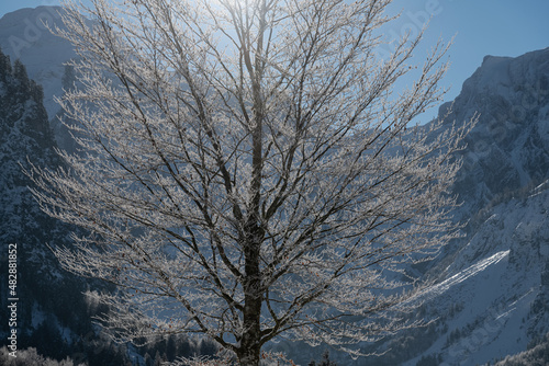 Dreamlike Winter wonderland in Almtal, Salzkammergut. Frozen Trees Almsee, Totes Gebirge, Upper Austria © Karl Allen Lugmayer