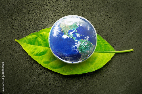 Globe Earth on Green Leaf and dark beckground with alot of water drops, Mother Nature Earth is in the Dark Day Save Our World Now Concept,, Elements of this image furnished by NASA