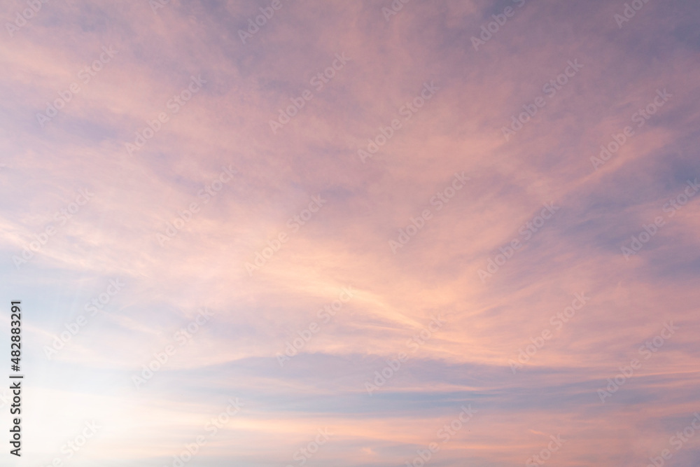 Summer Blue Sky and white clouds background. Beautiful clear cloudy in sunlight sunset season. Panorama vivid pink cloudscape in nature environment. Outdoor horizon skyline with spring sunshine.