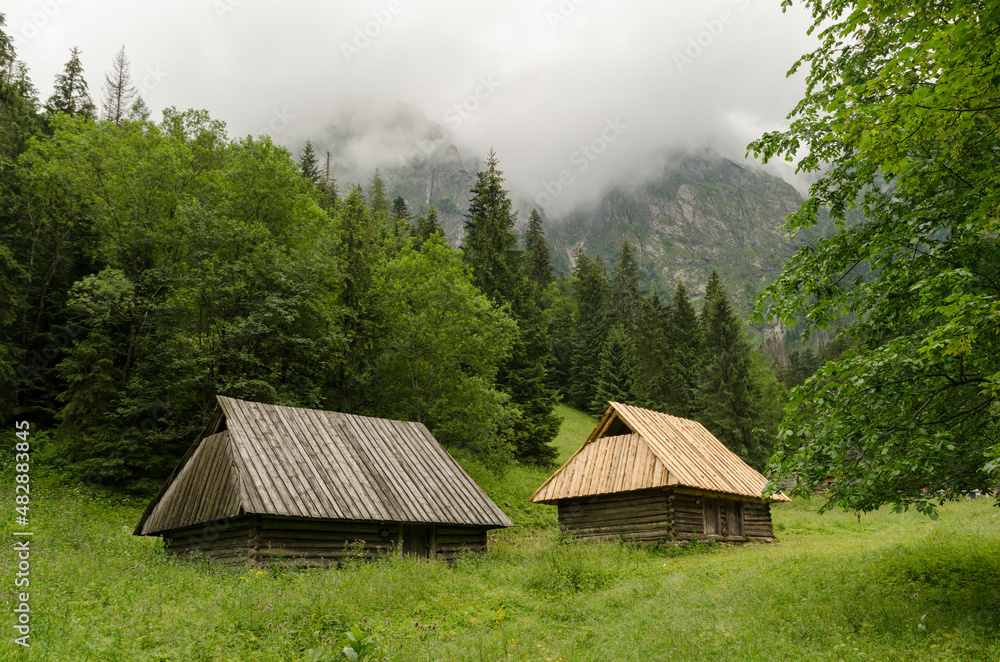 zakopane old and new wooden cabins in the mountains