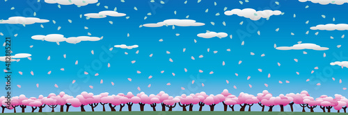 青空に桜が舞う春の風景1