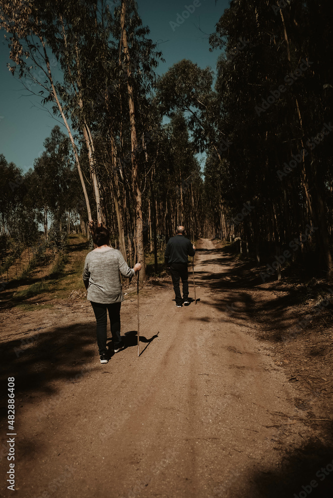 Couple walking in the middle of the forrest Couple walking in the middle of the forrest