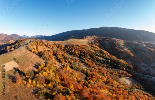Mountain ridge with autumn yellowed trees at bright sunlight