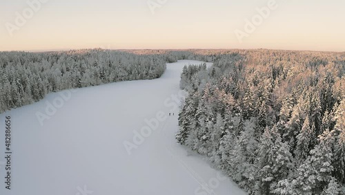 Winter forest landscape and a frozen lake on a sunny day. Pines under the snow. Drone video. flight ahead.Scandinavian nature. Finland.