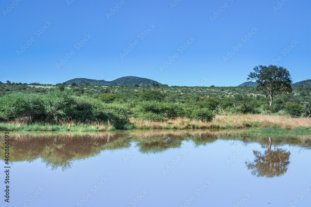 Landscape view of a lake surrounded by mountains and green savanna grassland, Pilanesburg Nature Reserve, North West Province, South Africa