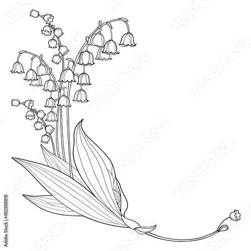 Corner bouquet of outline Lily of the valley or Convallaria flower and leaves in black isolated on white background.