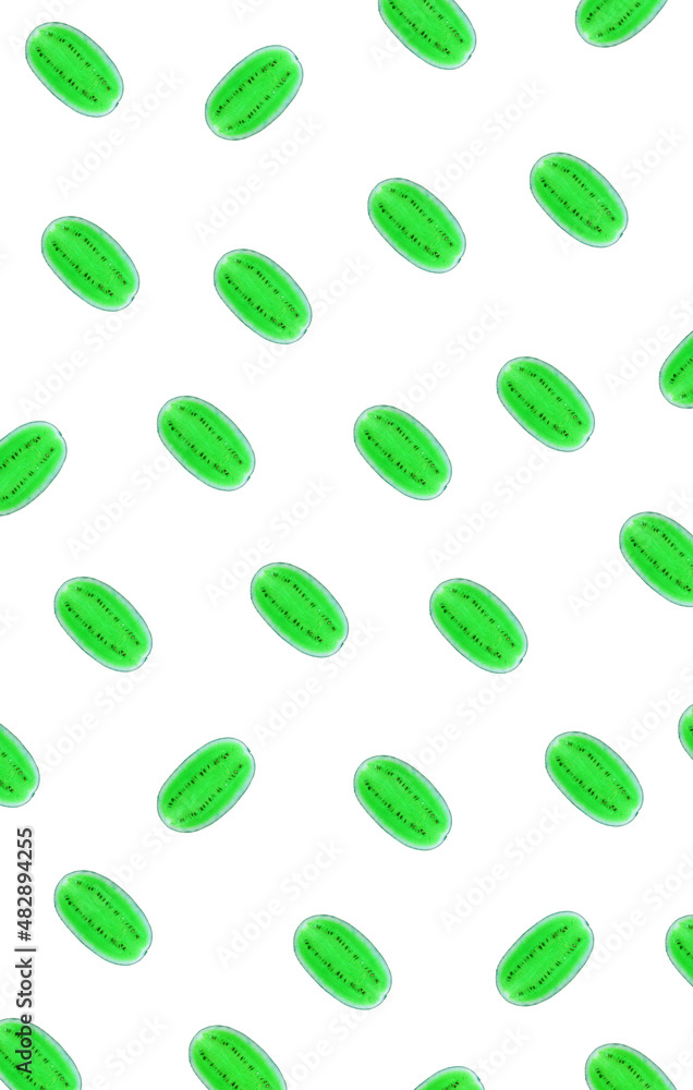 Pop Art Surreal Style Lime Green Half Cut Fresh Watermelons in Diagonal Rows