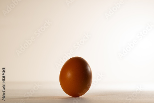 A chicken egg in an upright position, on a light background. Fresh chicken egg, with a textured brown shell.