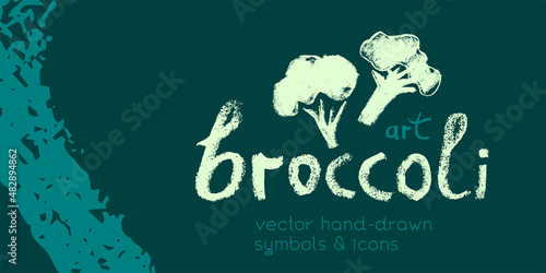 Vector broccoli icon. Pencil hand-drawn texture. Green cabbage flowering illustration isolated. Vegan restaurant logo, vegetarian symbol. Organic food sign. Vegetable badge for farmers market design.