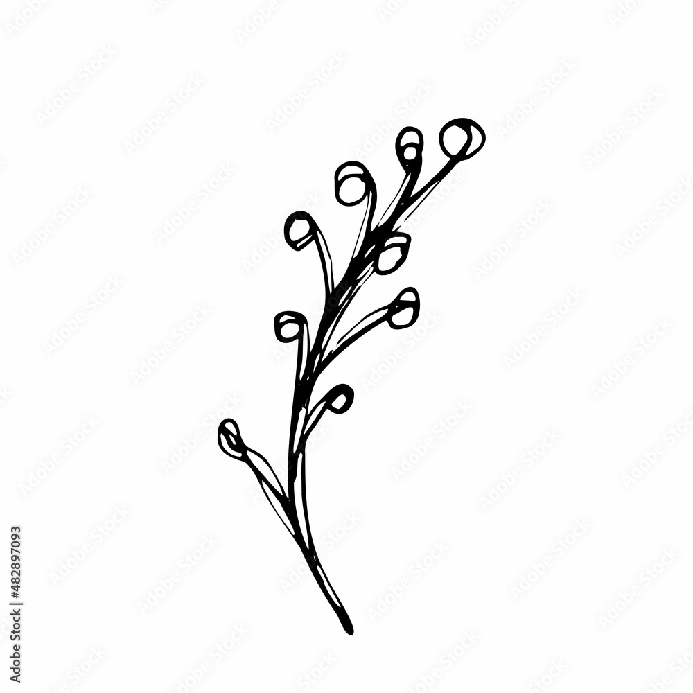 Vector set of doodle hand-drawn flowers. Collection of modern line illustrations. Vector set of doodle hand-drawn flowers. Collection of modern line illustrations.