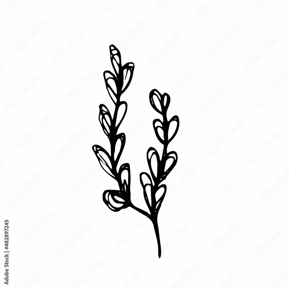 Vector set of doodle hand-drawn flowers. Collection of modern line illustrations. Vector set of doodle hand-drawn flowers. Collection of modern line illustrations.