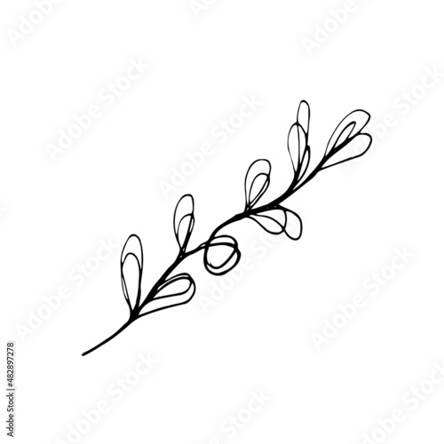 Vector set of doodle hand-drawn flowers. Collection of modern line illustrations.