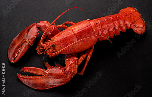 Cooked lobster on black background, top view