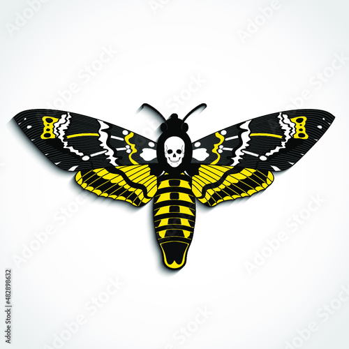 Deaths head moth yellow color vector illustration with skull