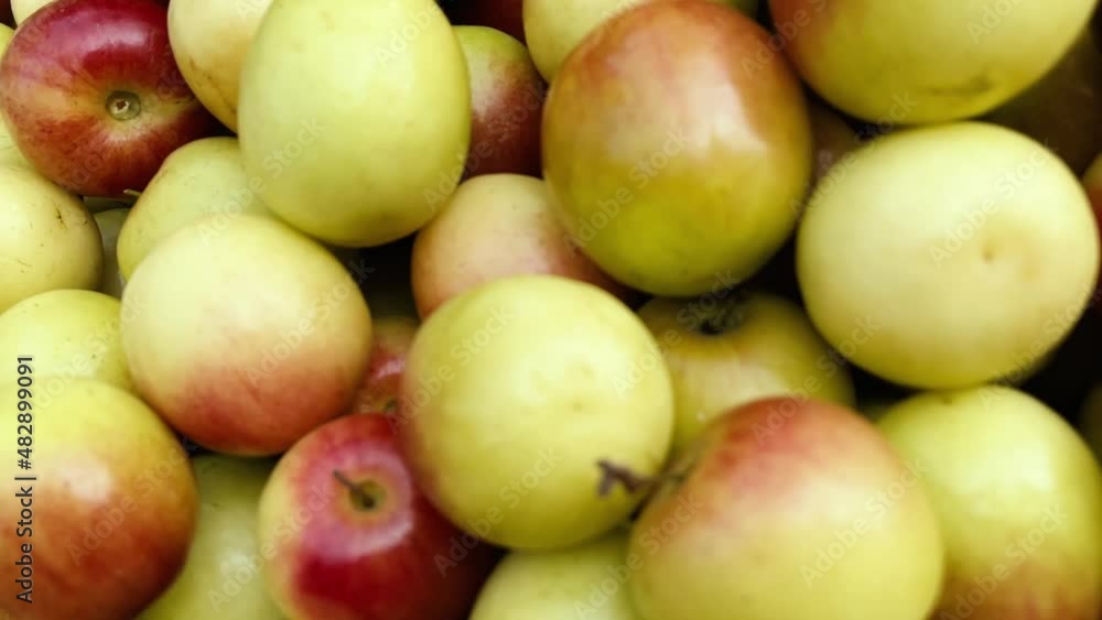 yellowish red apples in a bowl for sell yellowish red apples in a bowl for sell