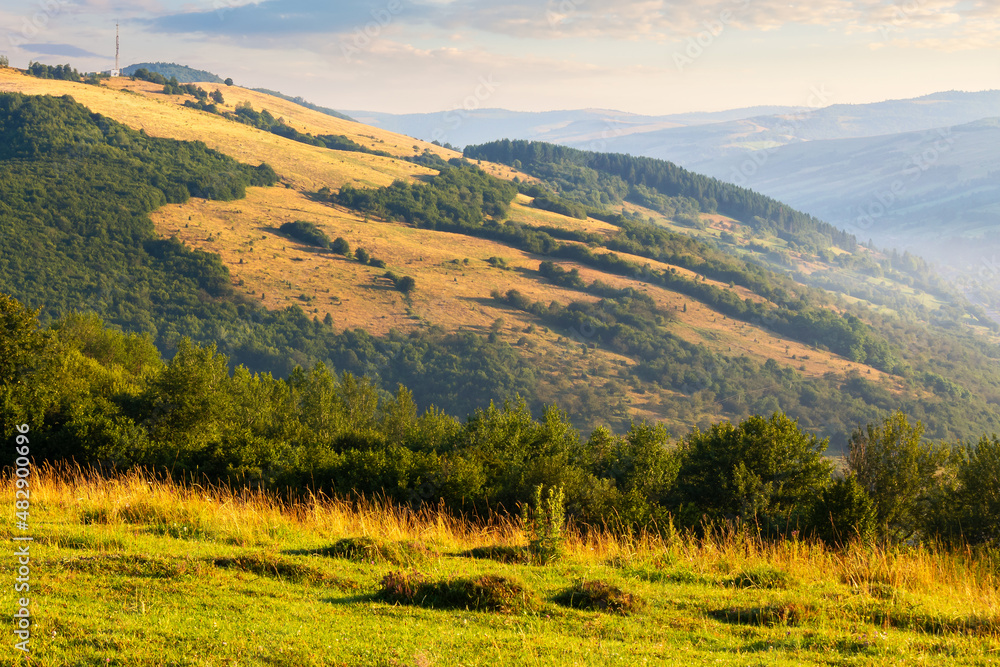 grassy pasture on the hill in morning light. beautiful countryside landscape of carpathian mountains at sunrise. rural valley at the foot on the distant ridge grassy pasture on the hill in morning light. beautiful countryside landscape of carpathian mountains at sunrise. rural valley at the foot on the distant ridge